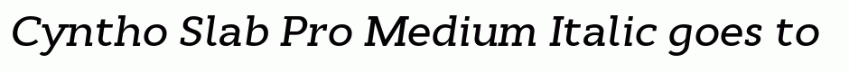 Cyntho Slab Pro Medium Italic