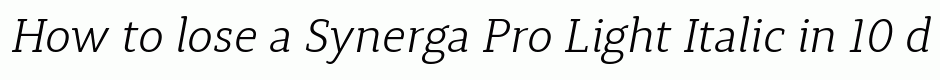 Synerga Pro Light Italic