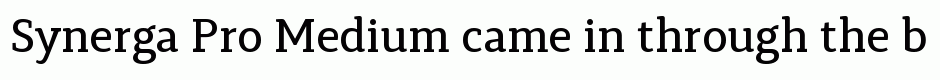 Synerga Pro Medium