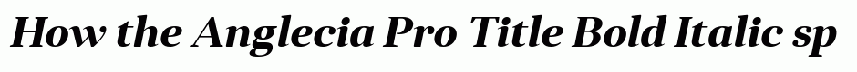 Anglecia Pro Title Bold Italic