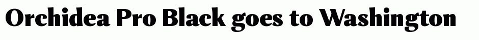 Orchidea Pro Black