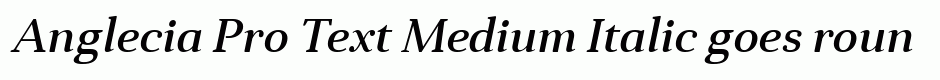 Anglecia Pro Text Medium Italic
