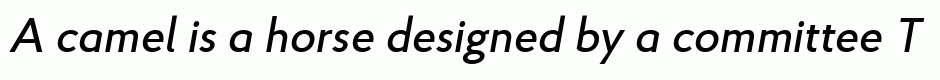 Proba Pro Medium Italic
