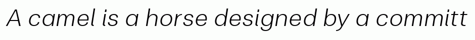 Clinica Pro Light Italic