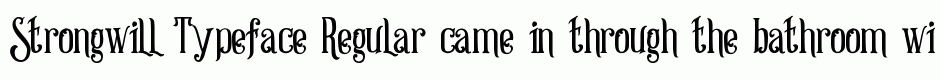 Strongwill Typeface Regular