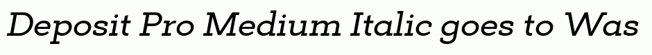 Deposit Pro Medium Italic