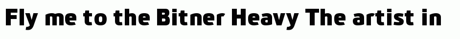 Bitner Heavy