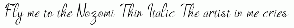 Nozomi Thin Italic