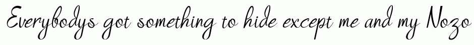 Nozomi Italic