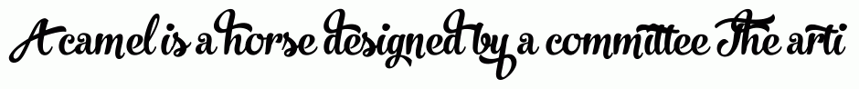 No. Seven Regular