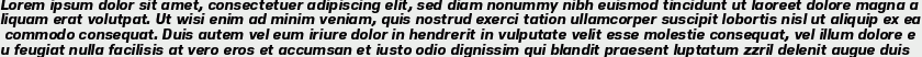 Nuber Heavy Italic