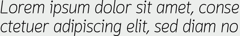 Lounge Light Italic