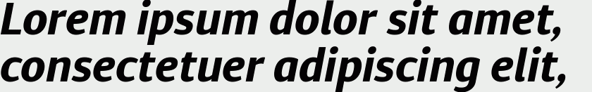 Diaria Sans Pro Bold Italic