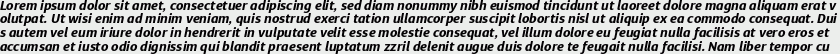 Diaria Sans Pro Bold Italic