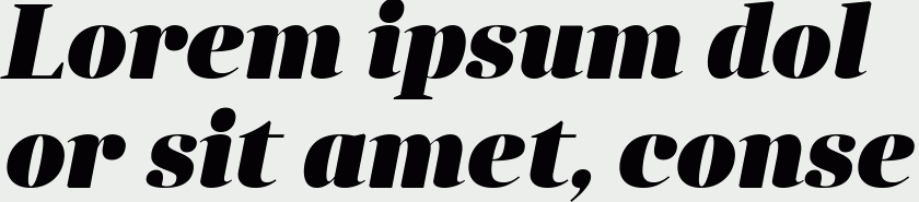 Anglecia Pro Display Black Italic