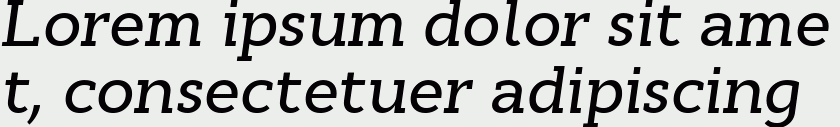 Cyntho Slab Pro Medium Italic