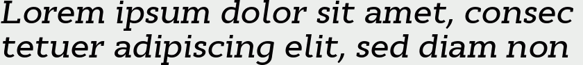 Cyntho Slab Pro Medium Italic