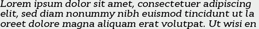 Cyntho Slab Pro Medium Italic