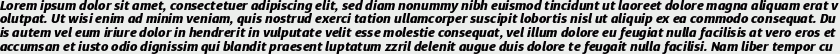 Diaria Sans Pro ExtraBold Italic