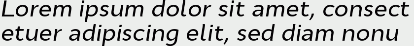 Cyntho Pro Medium Italic