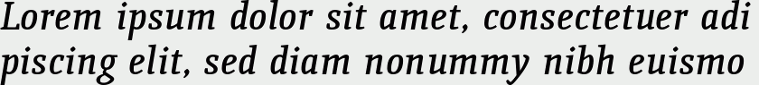 Quiroga Serif DemiBold Italic