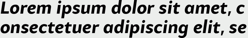 Samo Sans Pro Bold Italic