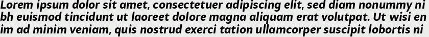 Samo Sans Pro Bold Italic