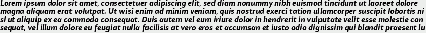 Samo Sans Pro Bold Italic