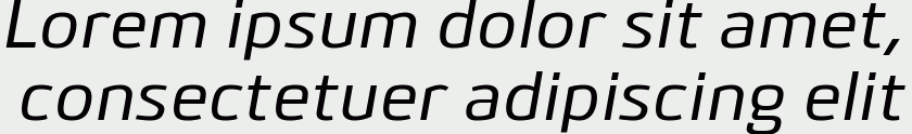 Bitner Medium Italic