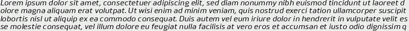 Bitner Medium Italic