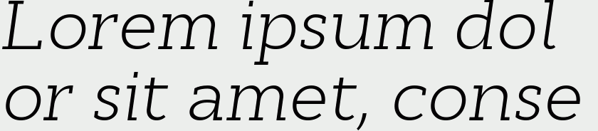 Cyntho Slab Pro Light Italic