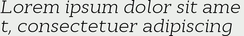 Cyntho Slab Pro Light Italic