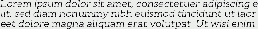 Cyntho Slab Pro Light Italic