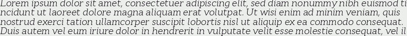 Cyntho Slab Pro Light Italic