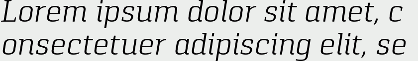 Pancetta Serif Pro Light Italic