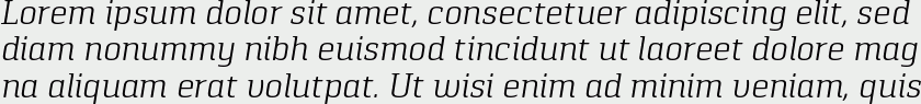 Pancetta Serif Pro Light Italic