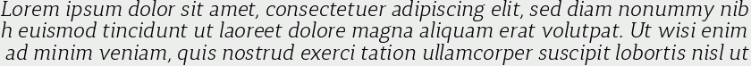 Synerga Pro Light Italic