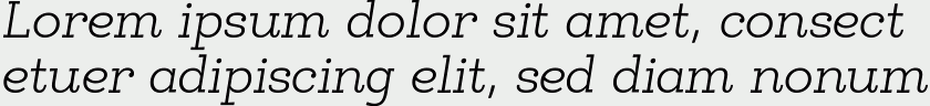 Egalite Light Italic