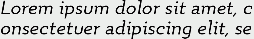 Quiza Pro Italic