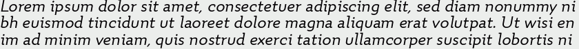 Quiza Pro Italic