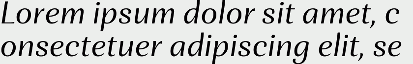 Orchidea Pro Italic