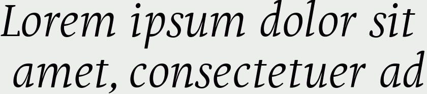 Puenta Serif Italic