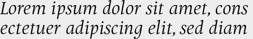 Puenta Serif Italic