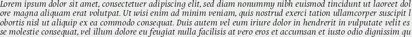 Puenta Serif Italic