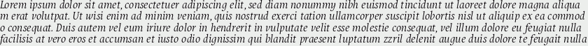 Puenta Serif Italic