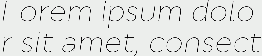 Cyntho Pro Thin Italic