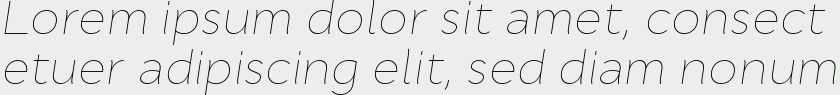 Cyntho Pro Thin Italic