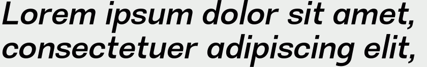 Semi Bold Oblique