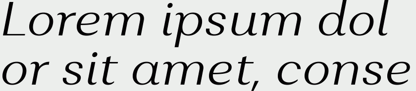 Alethia Pro Light Italic