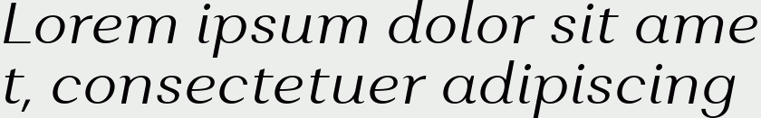 Alethia Pro Light Italic